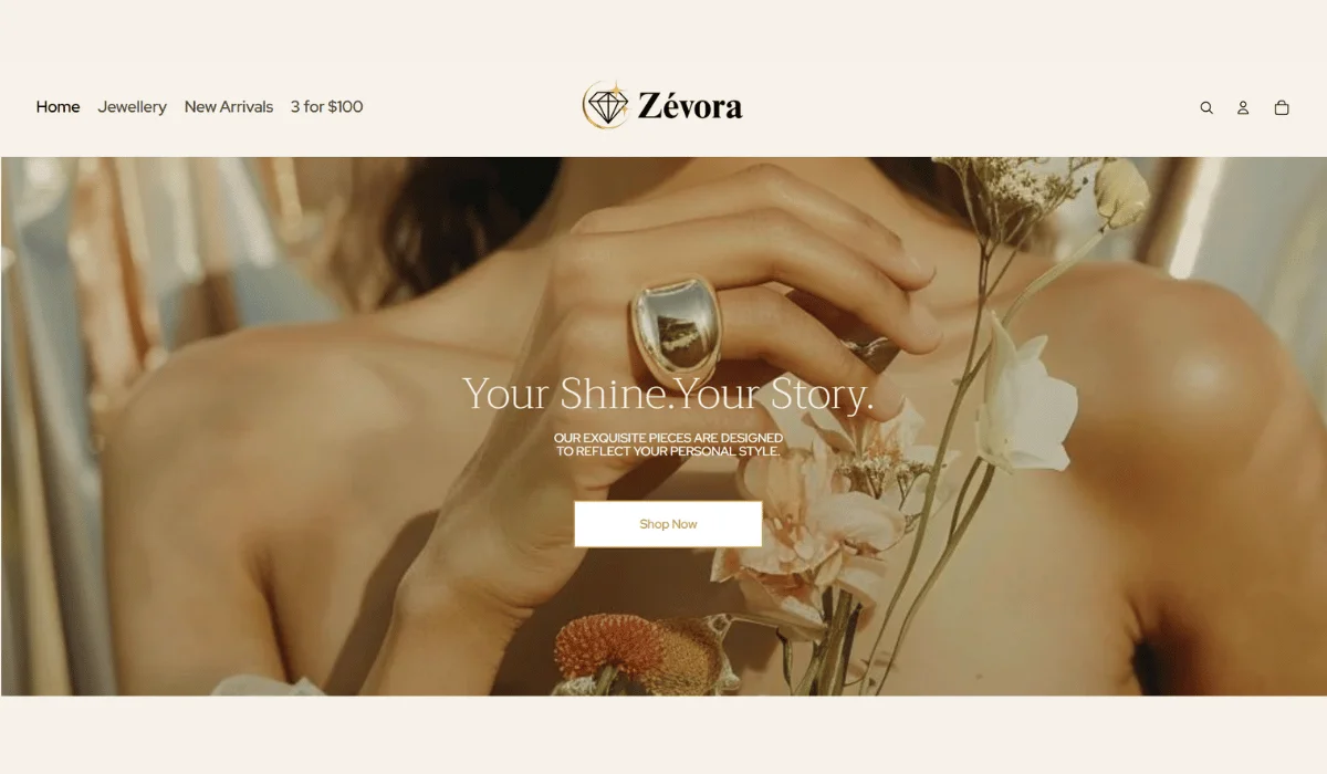 zevora - portfolio revolution hub